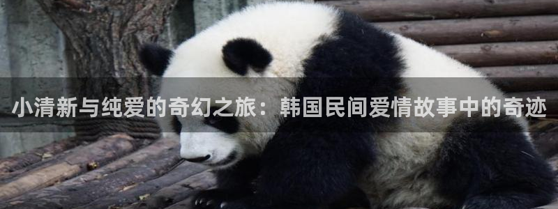 虫虫漫画页面免费漫画网