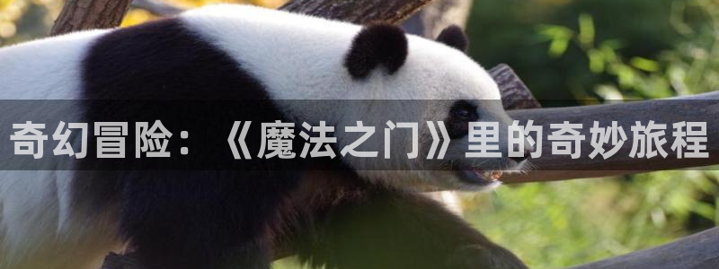 虫虫漫画免费阅读入口在线观看